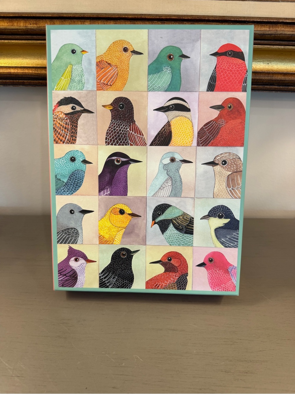 Galison Avian Friends 1000 Piece Jigsaw Puzzle 27 x 20 Hobbies Colorful Complete